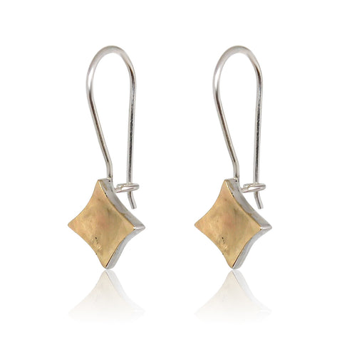 Sterling Silver, 9K Gold Earrings